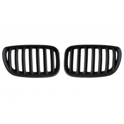 BMW X5 SERİSİ E53 2003-2006 SİYAH PANJUR